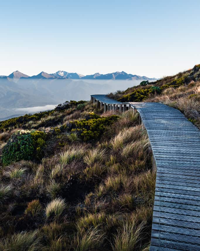 Boardwalk at Okaka Lodge on Humpridge Track