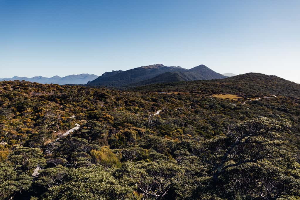 Boardwalk section on Humridge Track