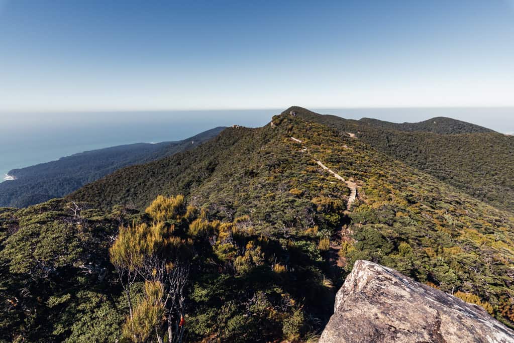 Boardwalk section on Humridge Track