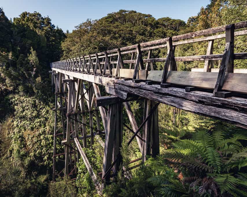Edwin Burn Viaduct on Humpridge Track
