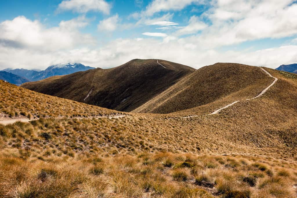 Last part of Isthmus Peak Track before reaching the summit