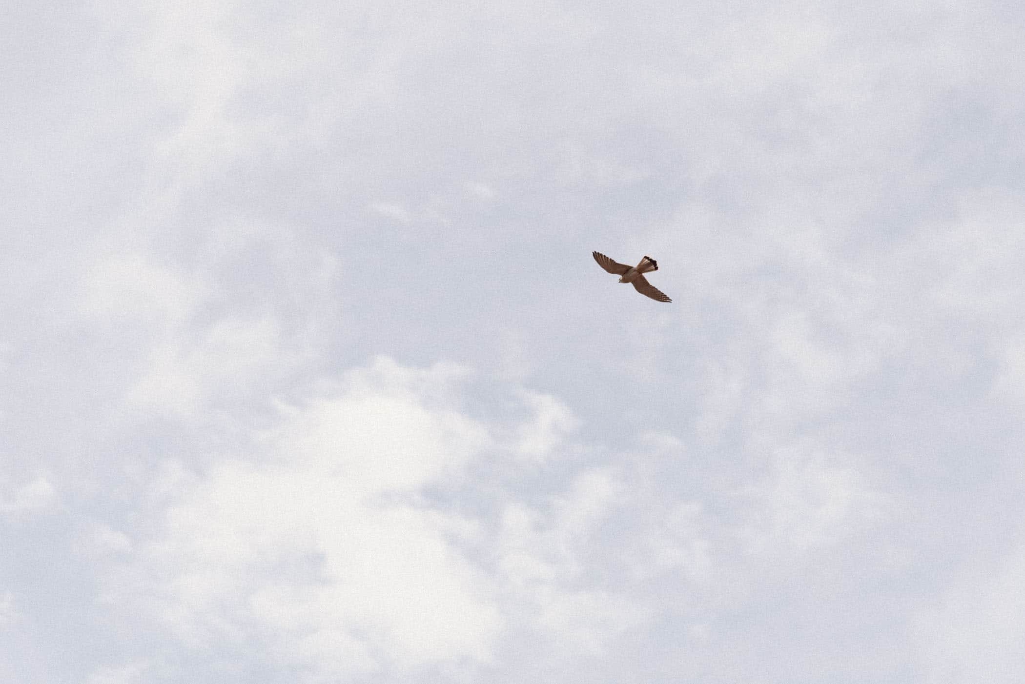 Kalbarri National Park Western Australia
