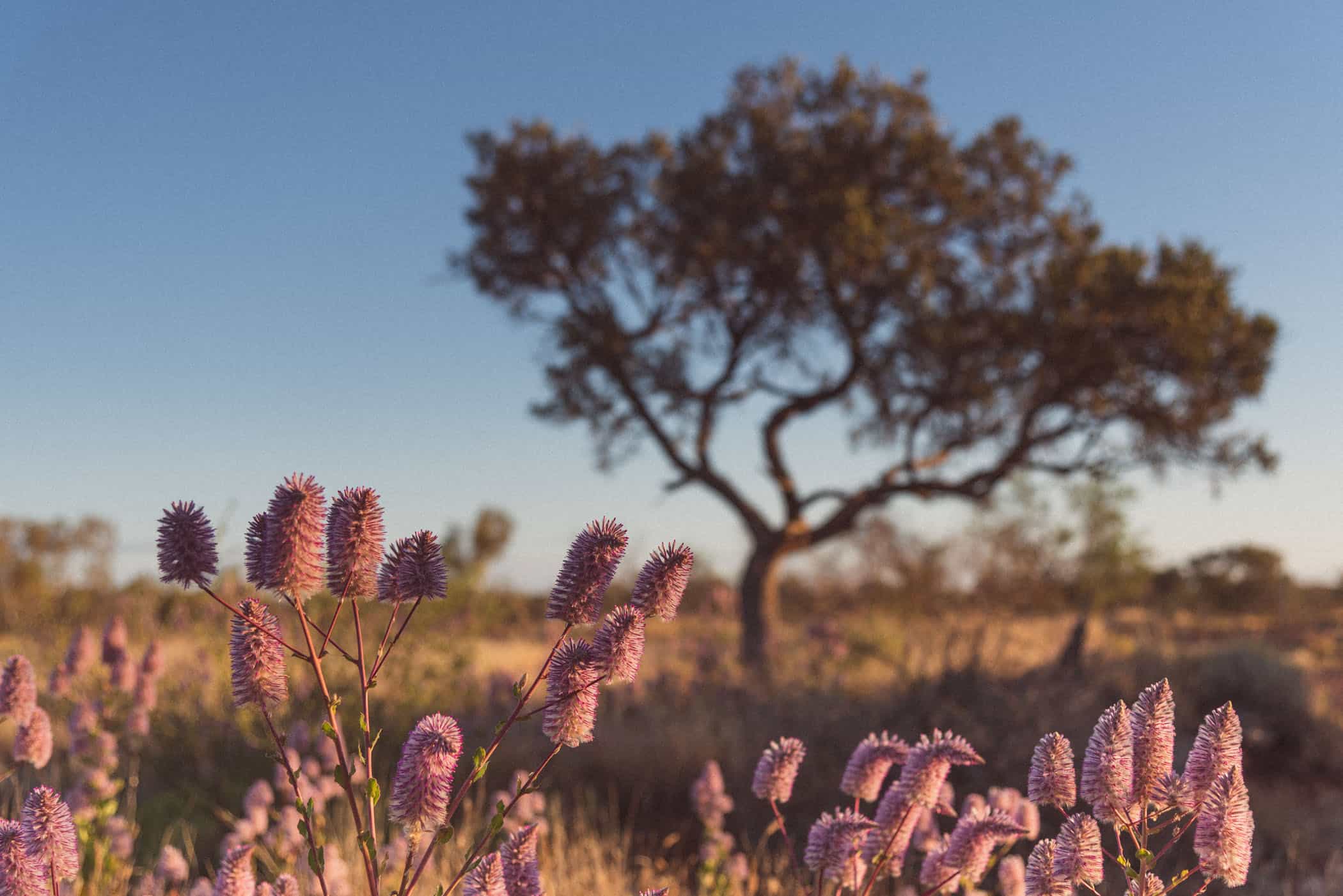 sunset at Karijini National Park