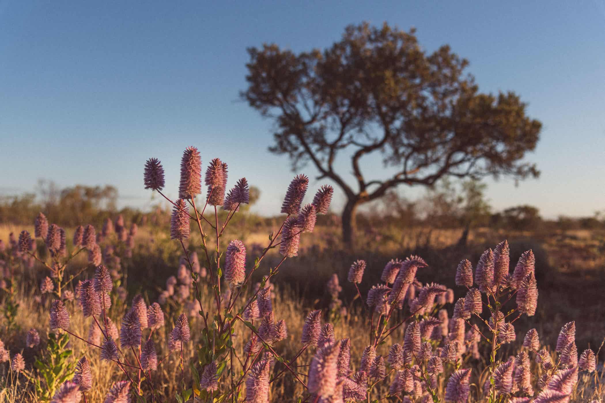 sunset at Karijini National Park