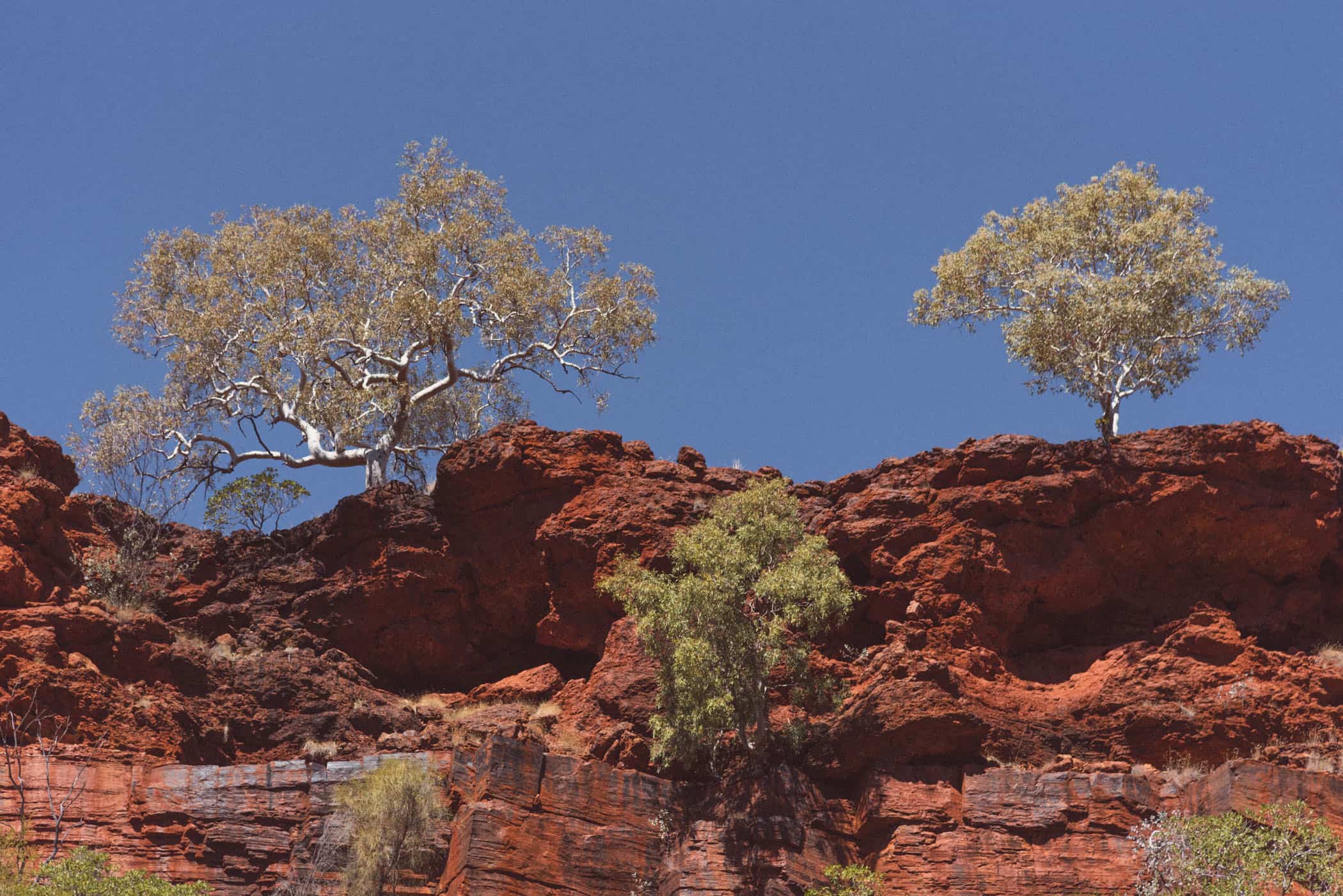 Dales Gorge in Karijini National Park