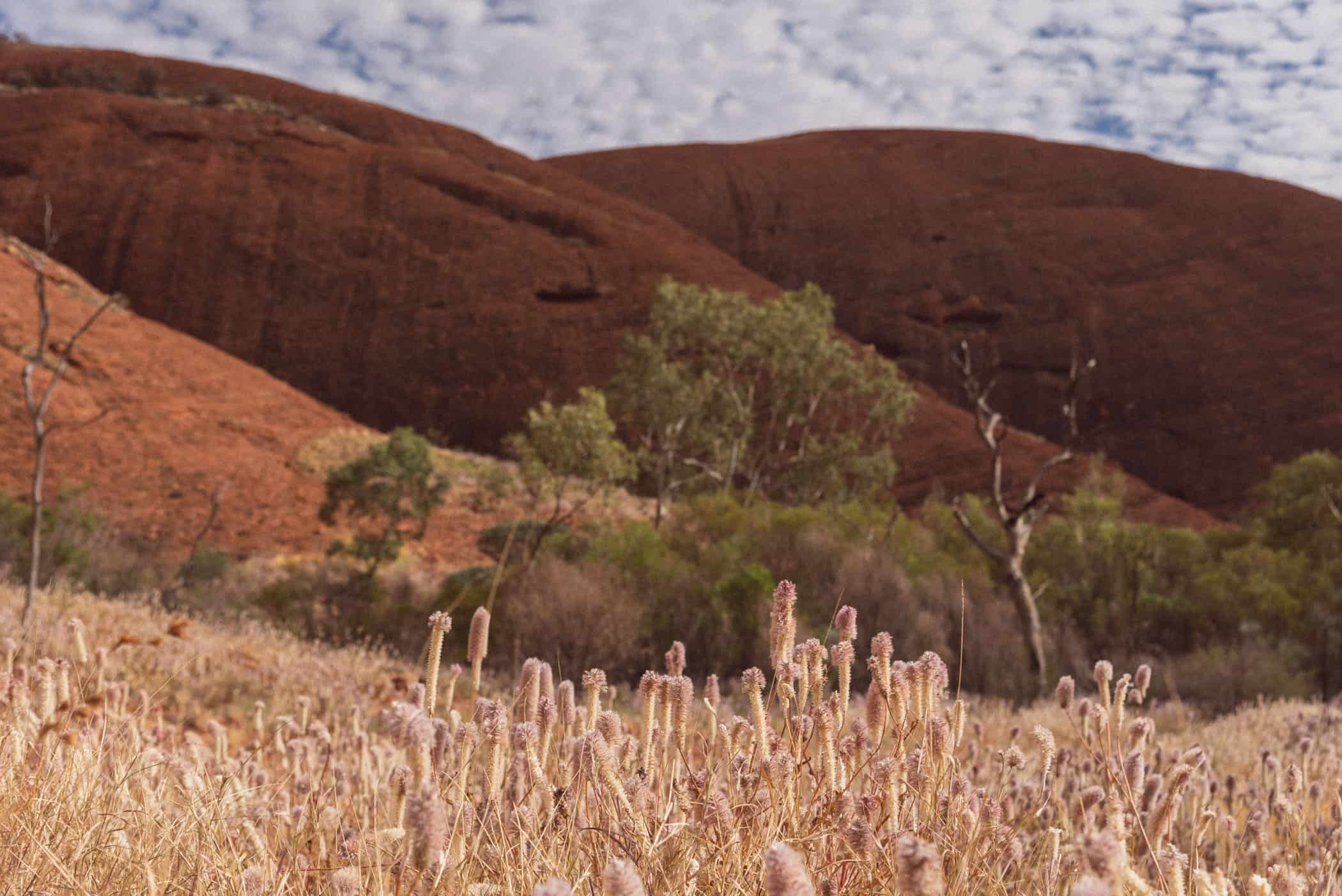 Kata Tjuta Valley of the Winds walk