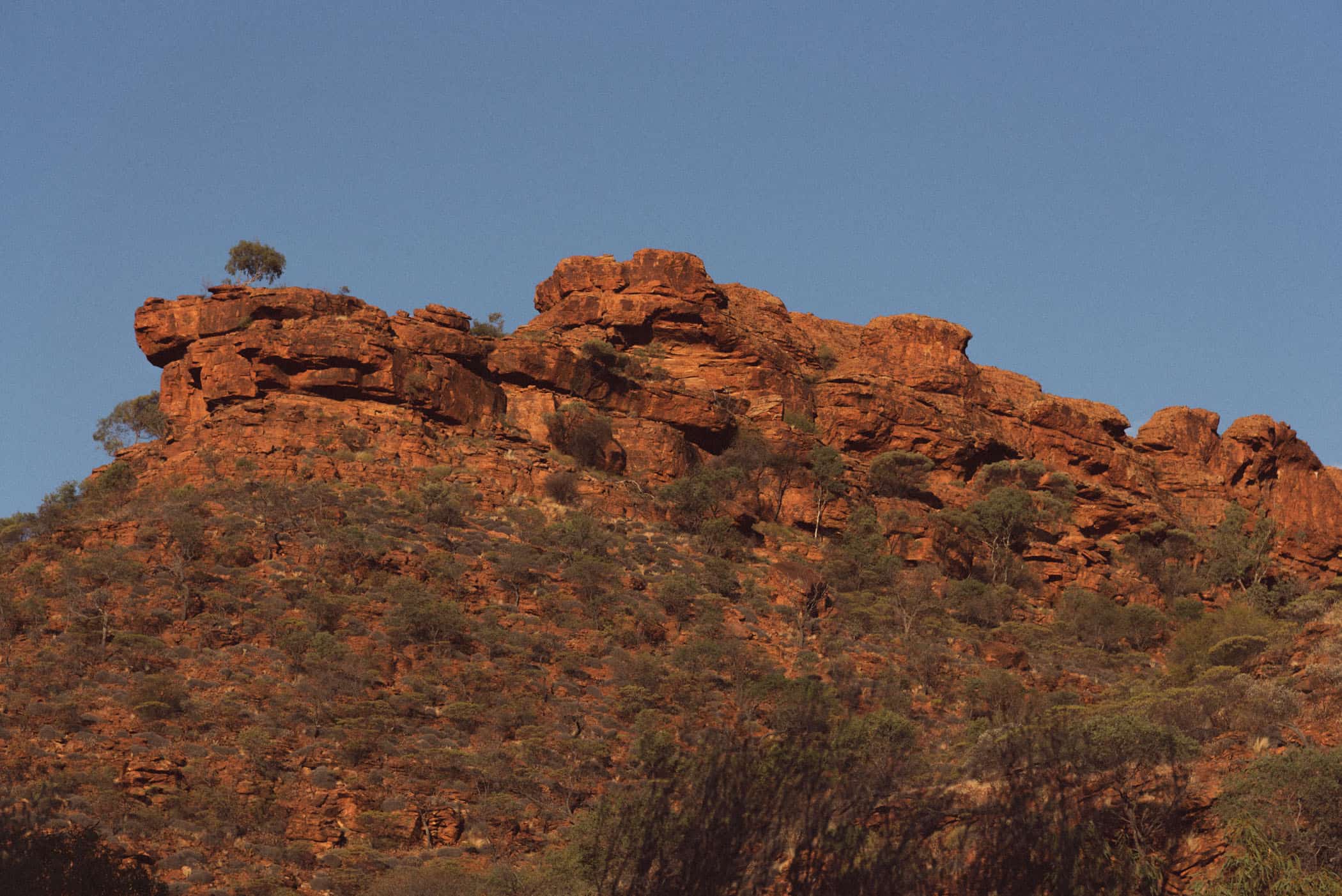 Kings Canyon Creek Walk sunset