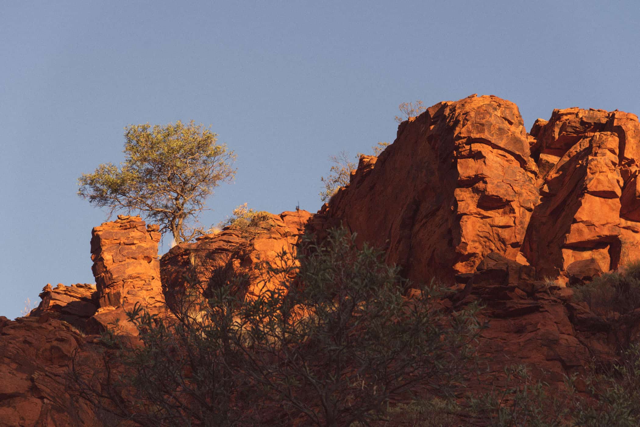 Kings Canyon Creek Walk sunset
