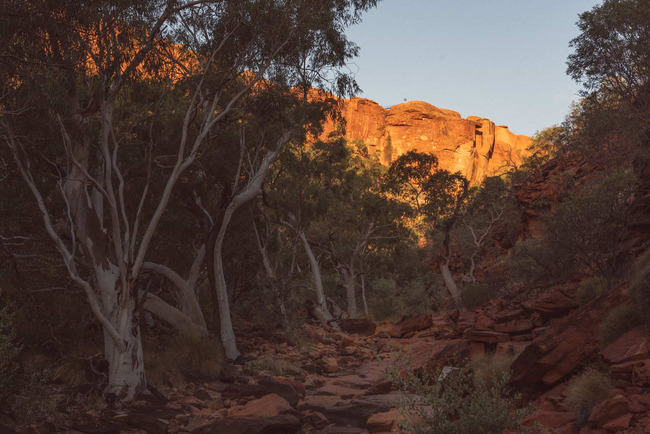 Kings Canyon Creek Walk sunset