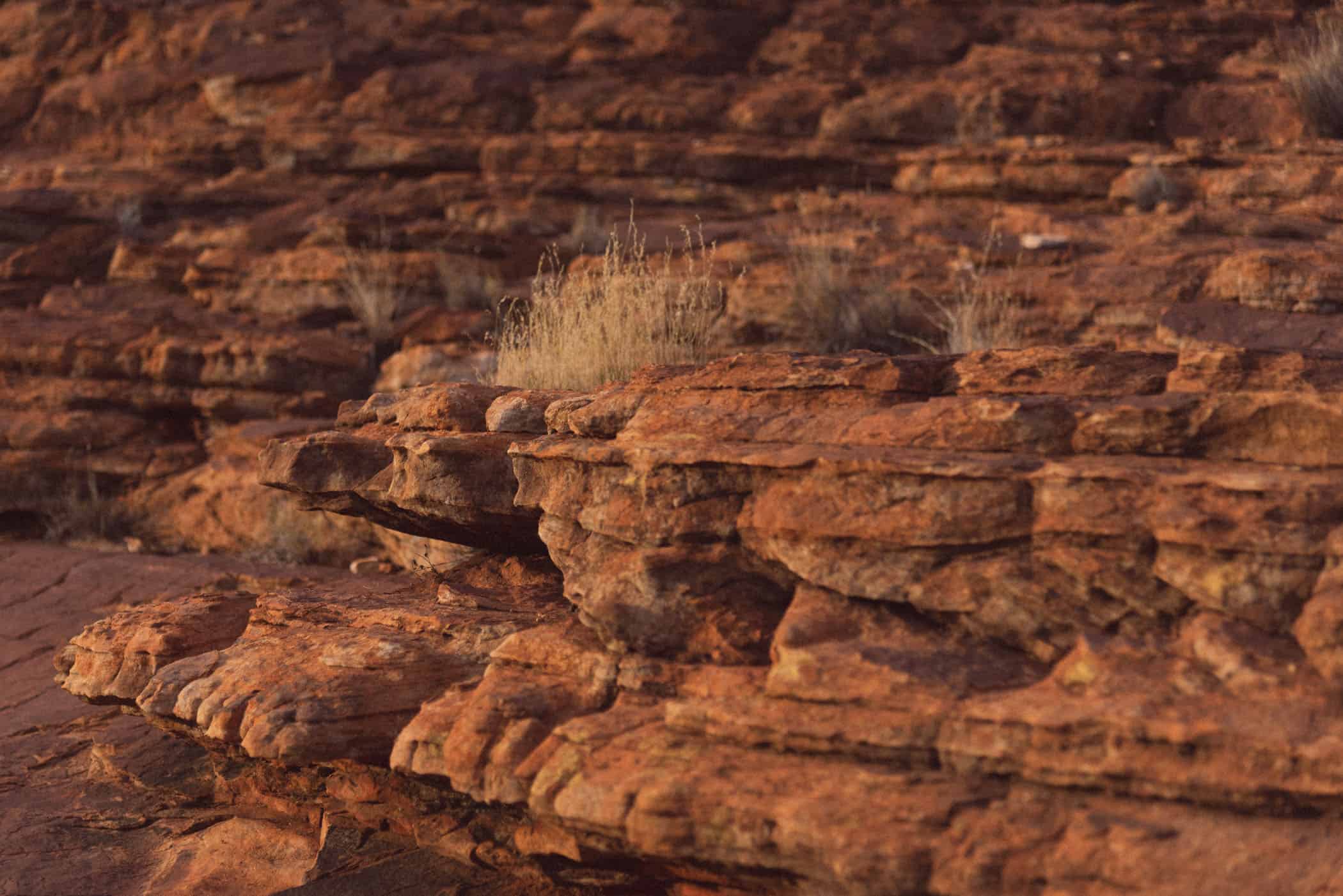 Kings Canyon Rim Walk at sunset