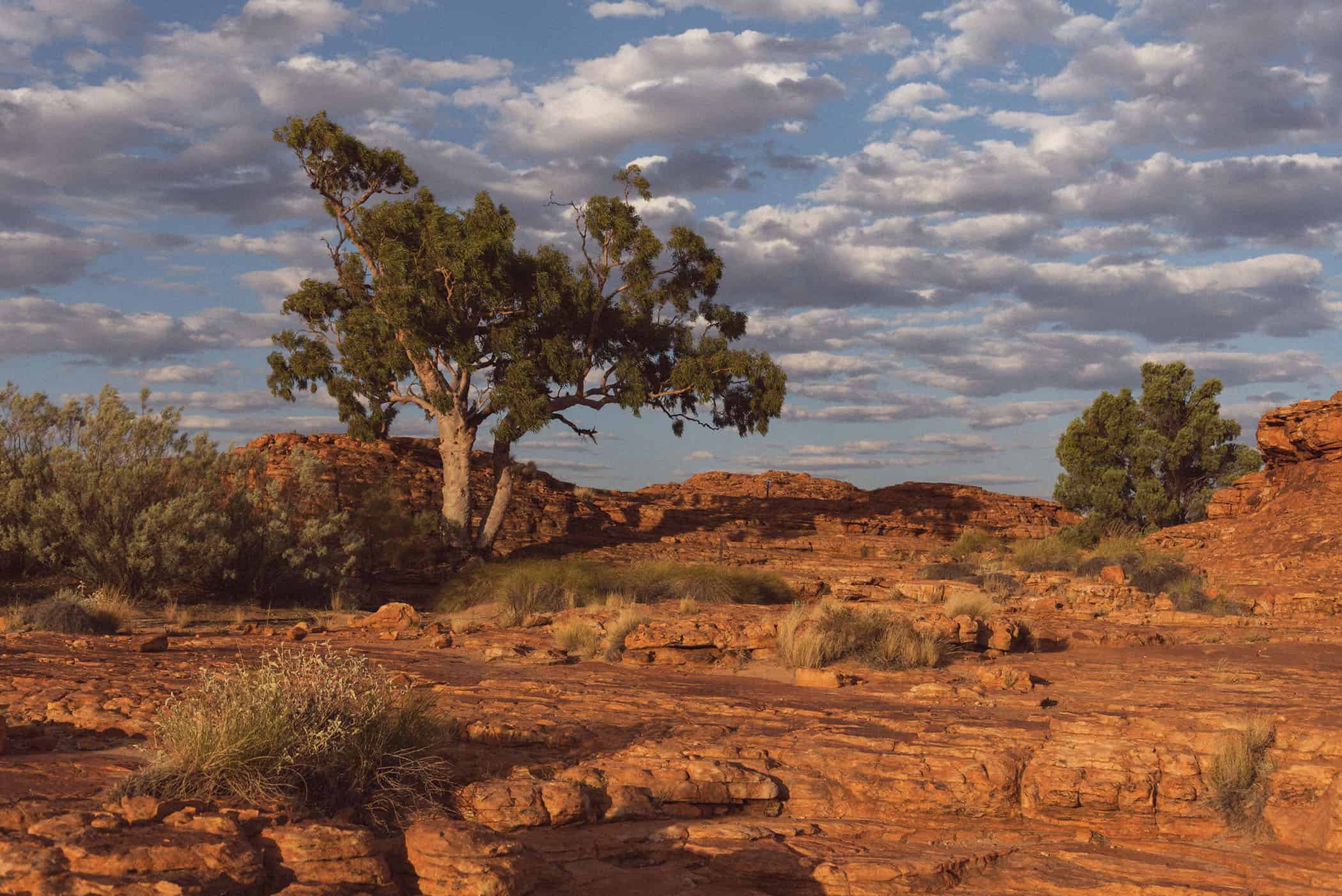 Kings Canyon Rim Walk at sunset