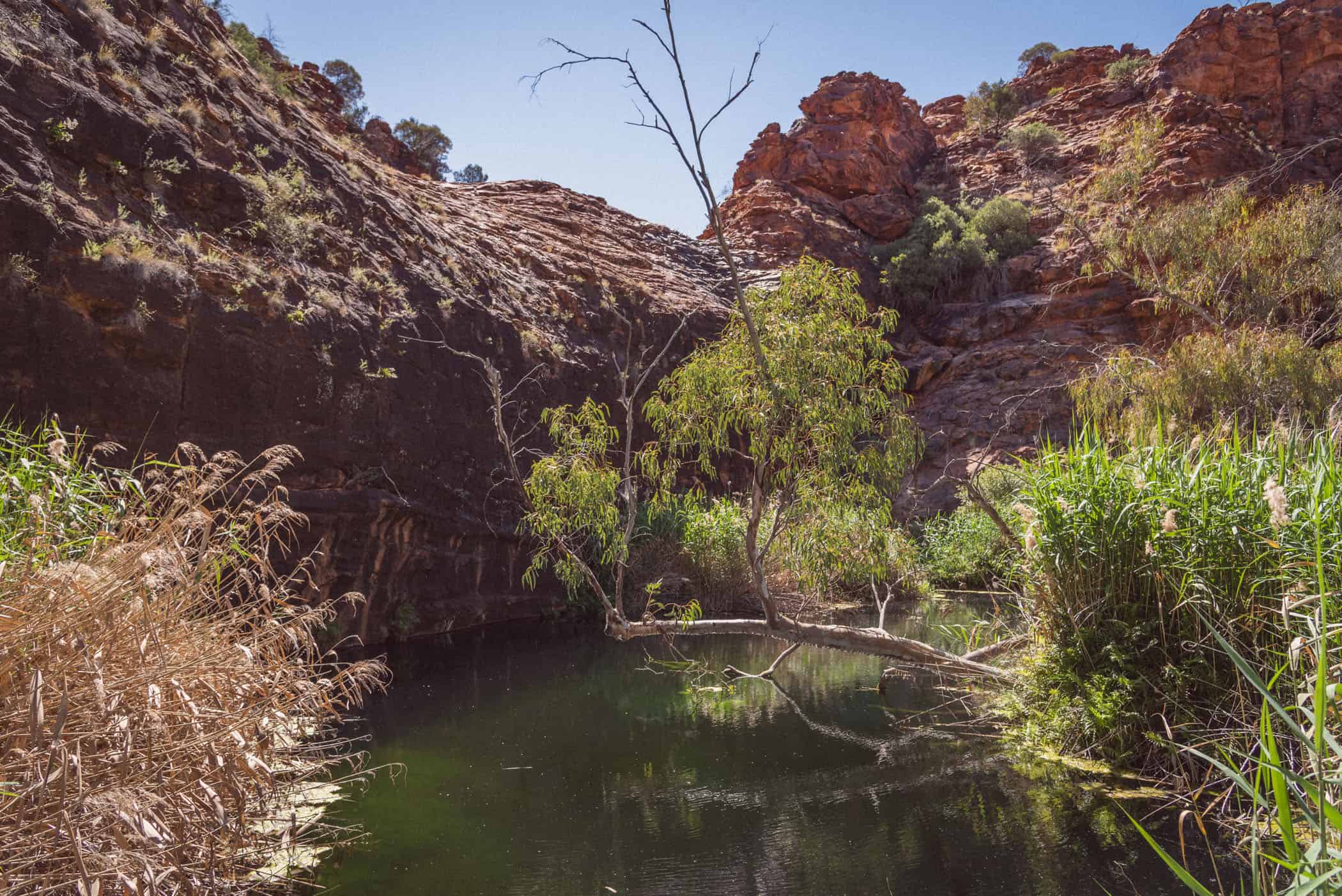 Kathleen Springs Walk