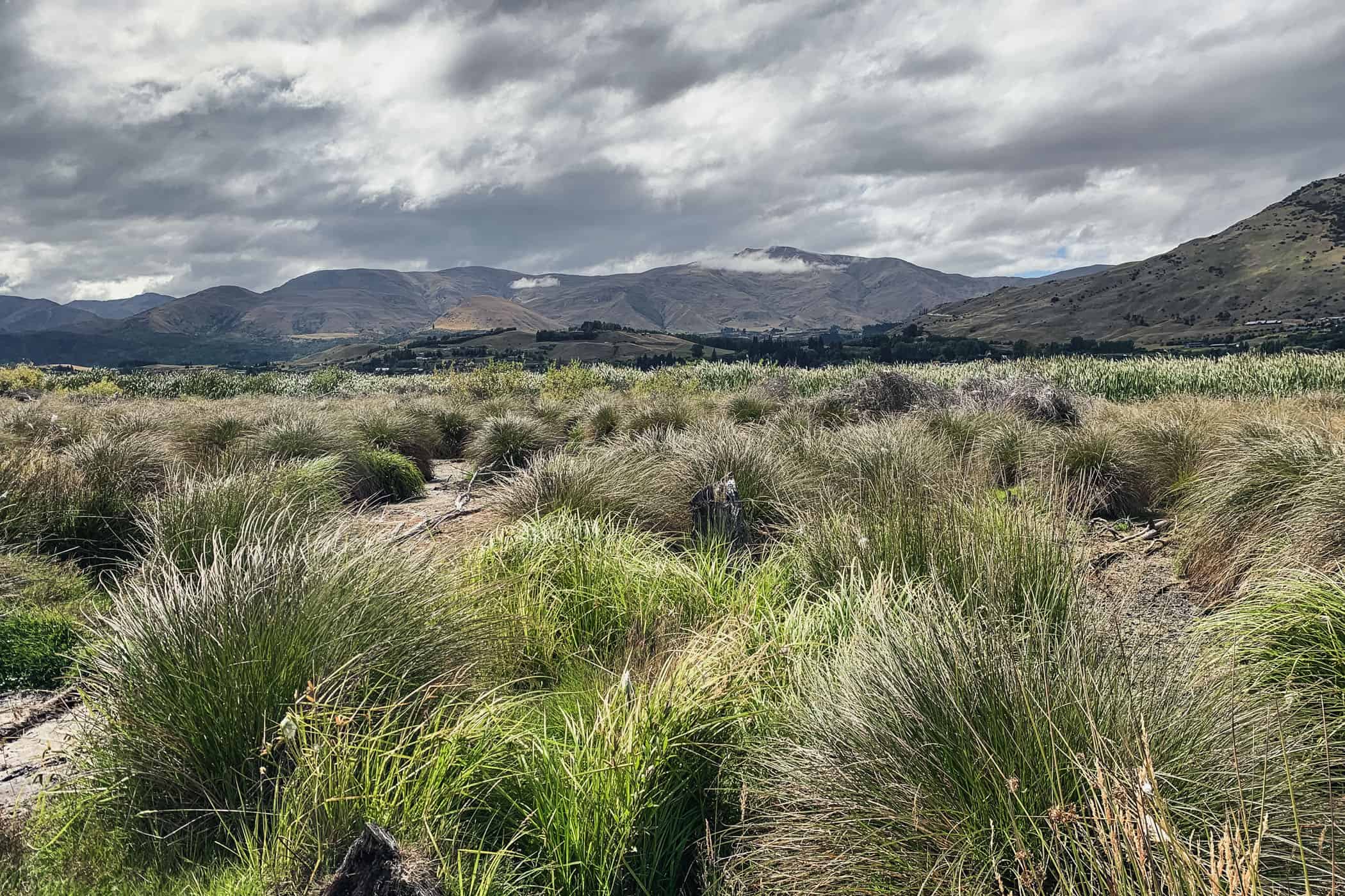 Lake Hayes Queenstown