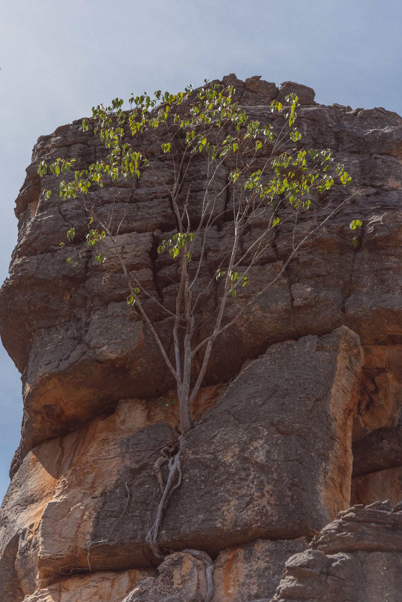 Litchfield National Park Northern Territory Australia