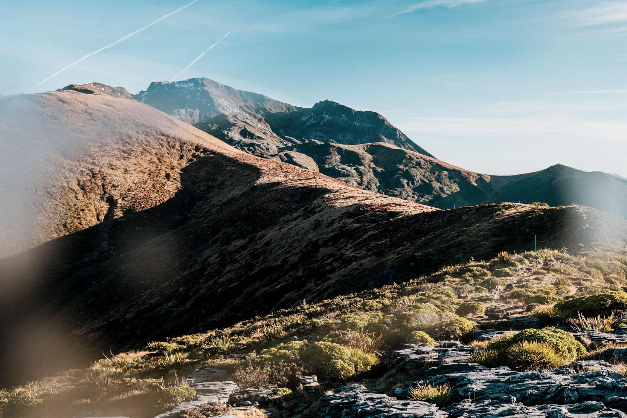 Mount Arthur summit track just above the tree line