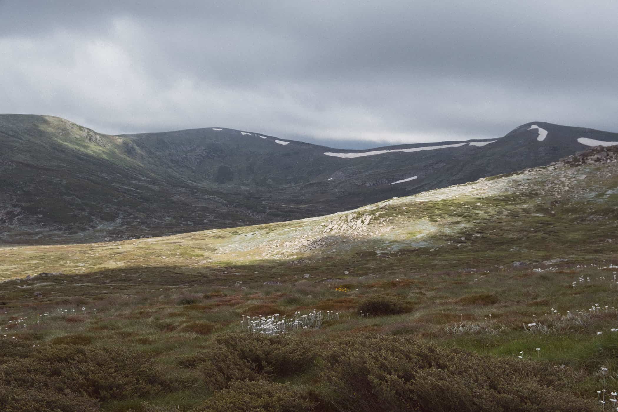 Mount Kosciuszko Summit Walk