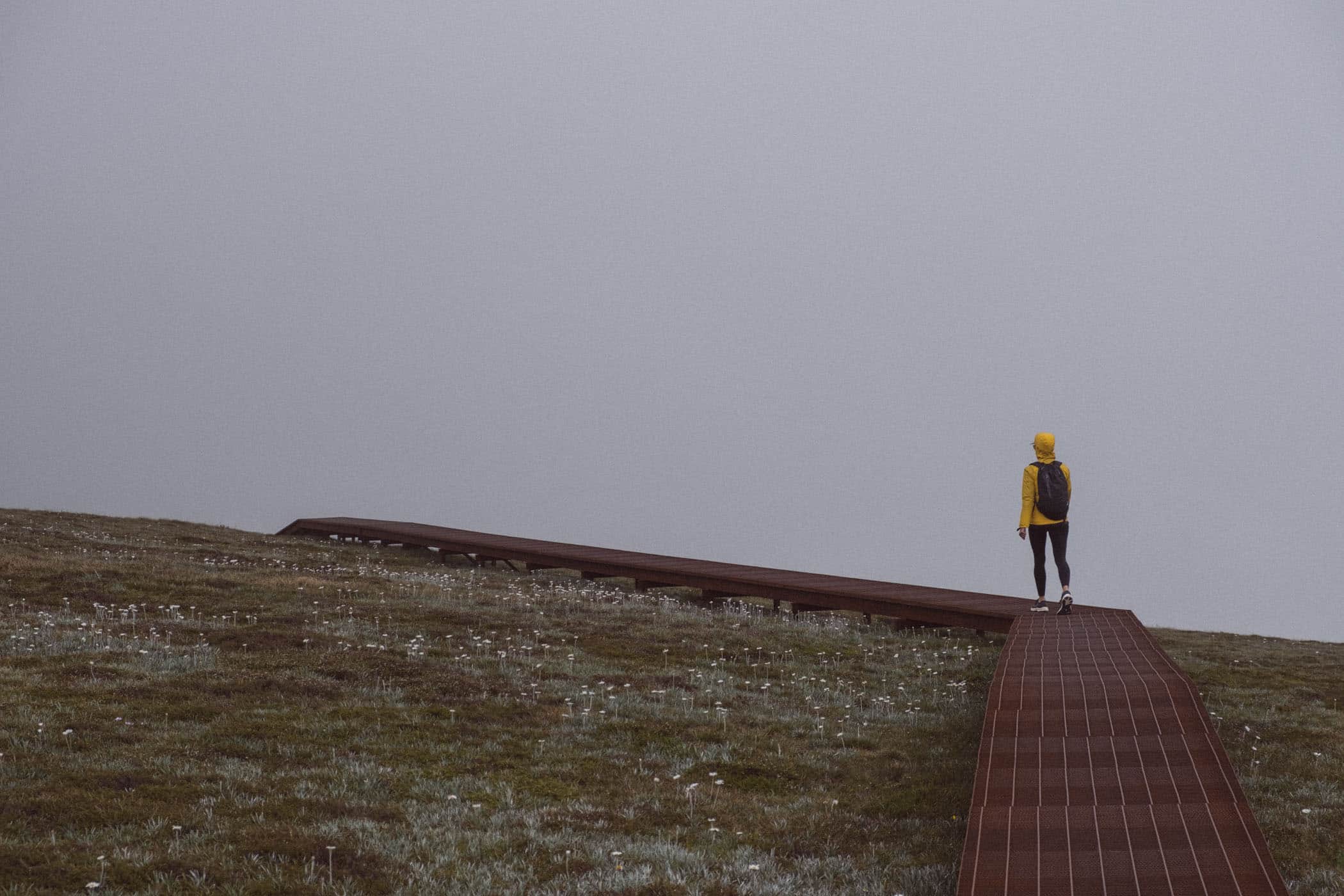 Mount Kosciuszko Summit Walk