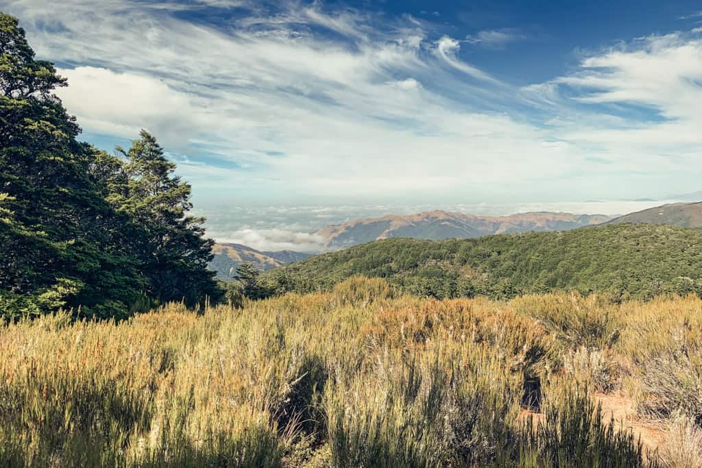 View from Mt Richardson summit