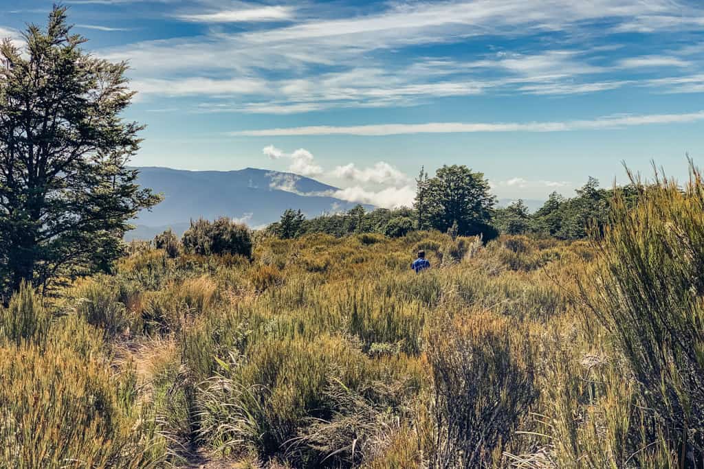 Hiker on Mt Richardson