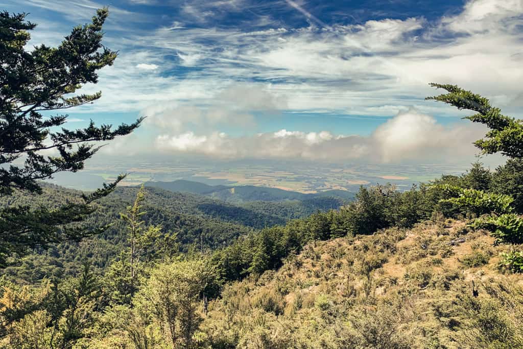 View from Mt Richardson