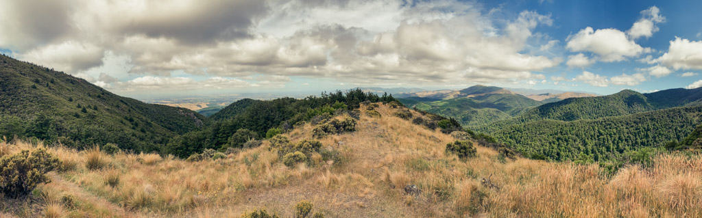 Panoramic shot from Mt Grey above bush line