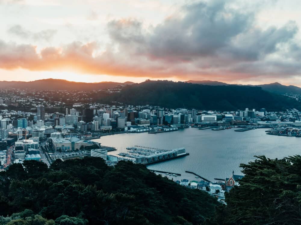 View of Wellington from Mount Victoria Lookout at sunset
