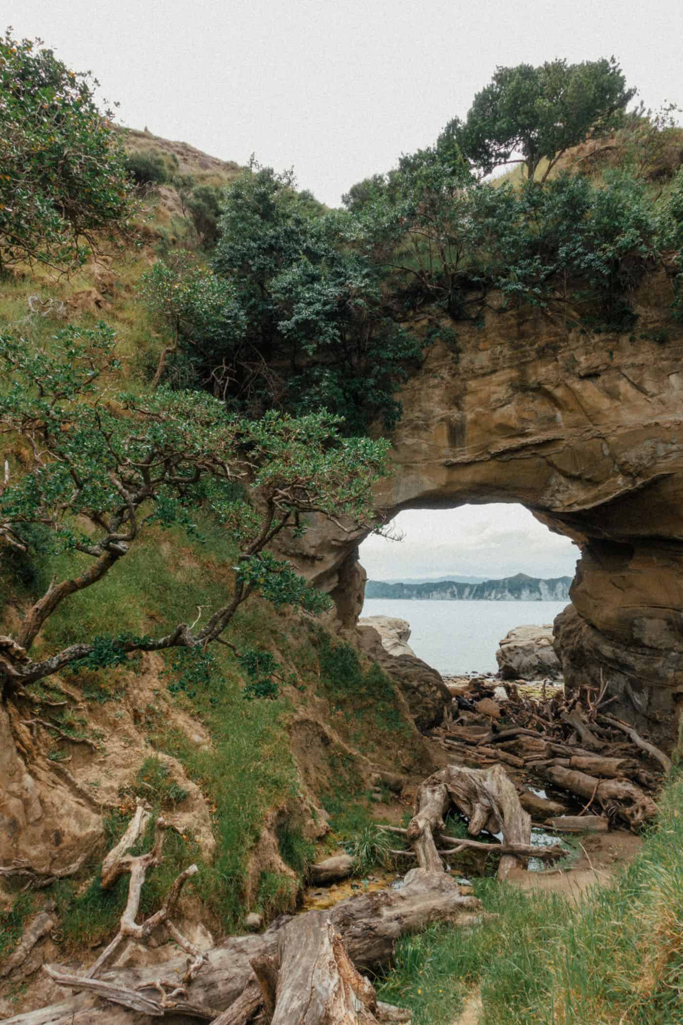 Cook's Cove at East Cape New Zealand North Island