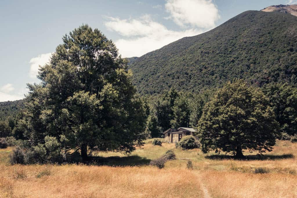 Lakehead Hut between two trees