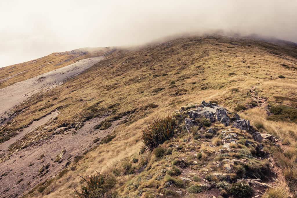 View from Parachute Rocks up to ridge line of St Arnaud Range