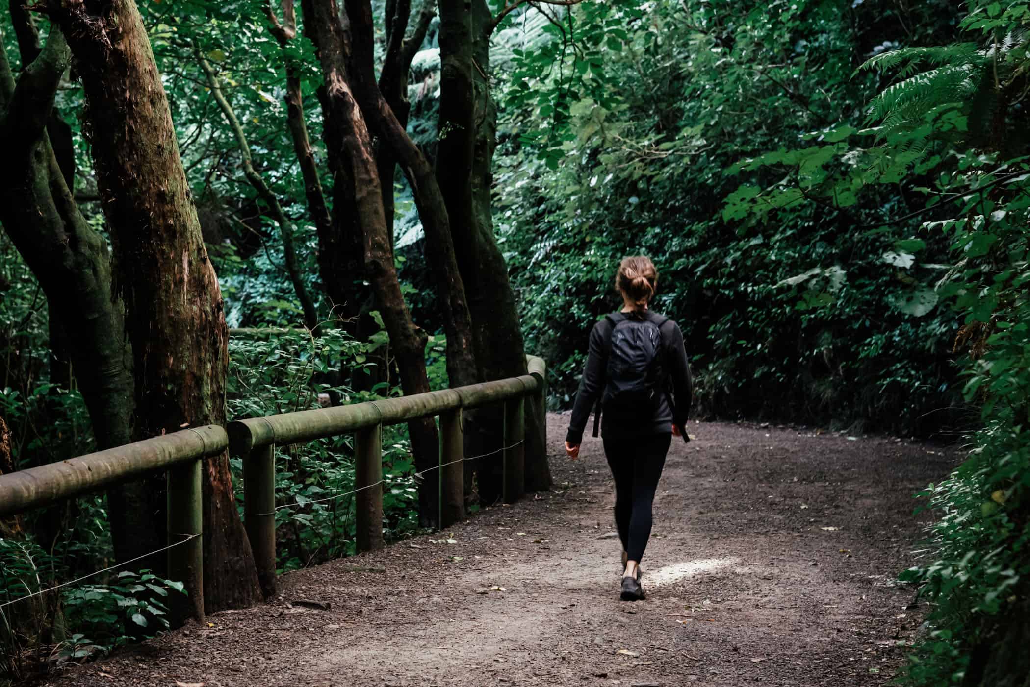 Wellington Botanical Garden