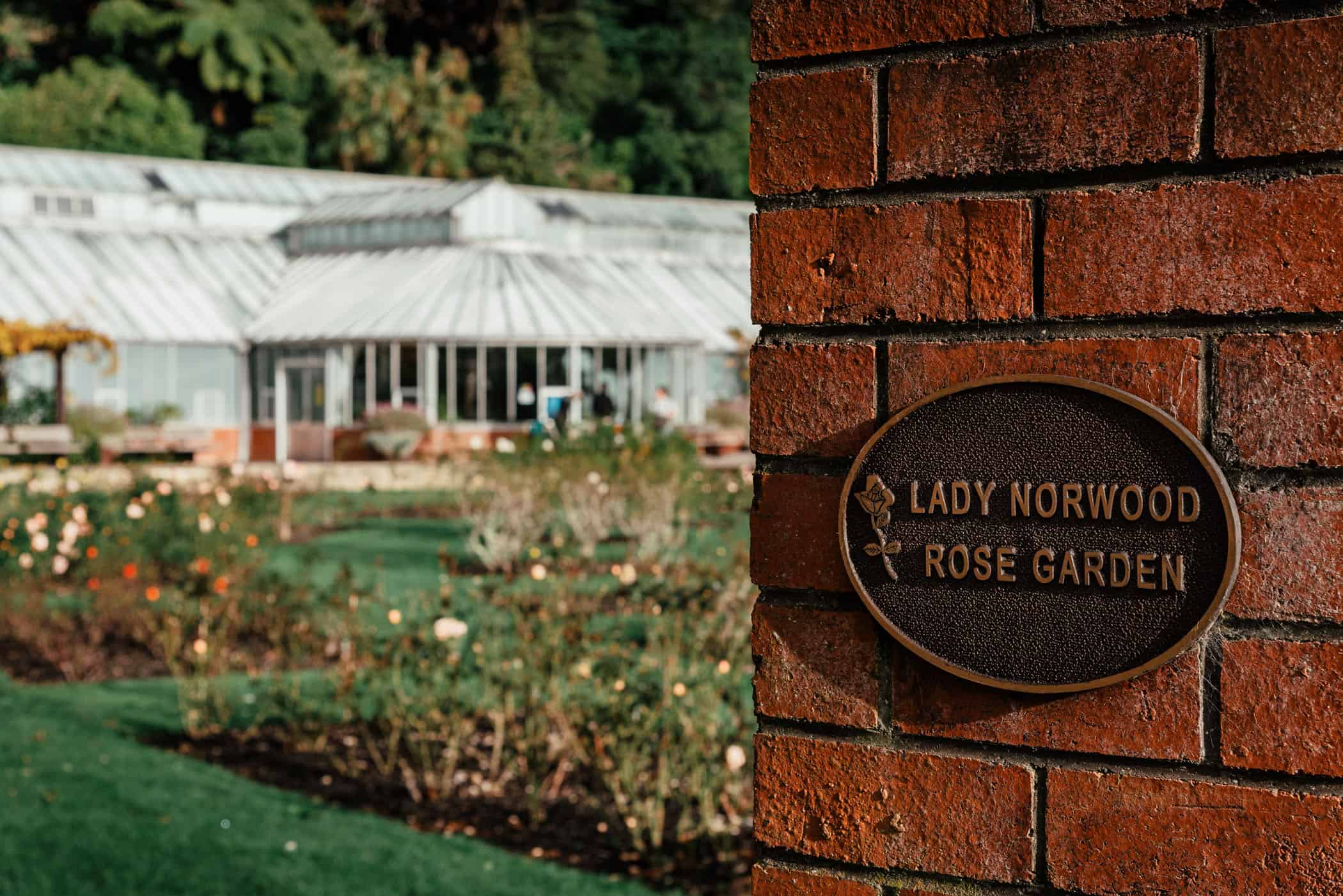 Wellington Botanical Garden