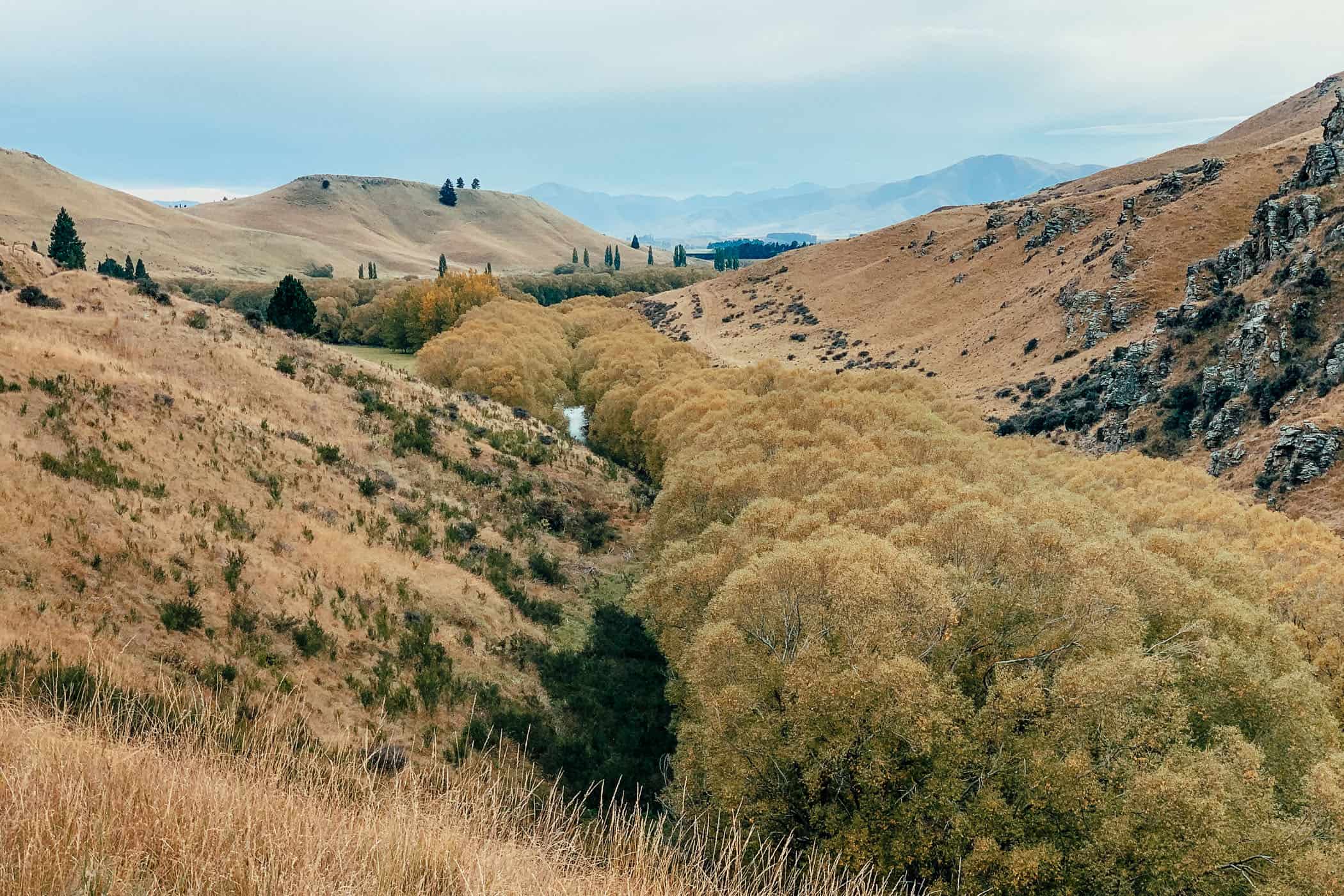 wooded stream valley at Otago Central Rail Trail