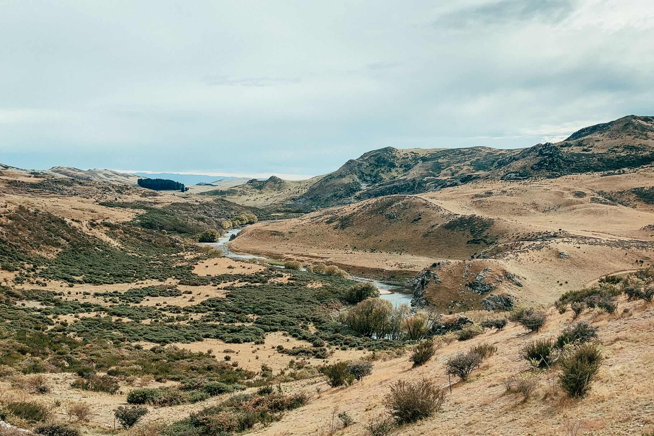 wooded stream valley at Otago Central Rail Trail