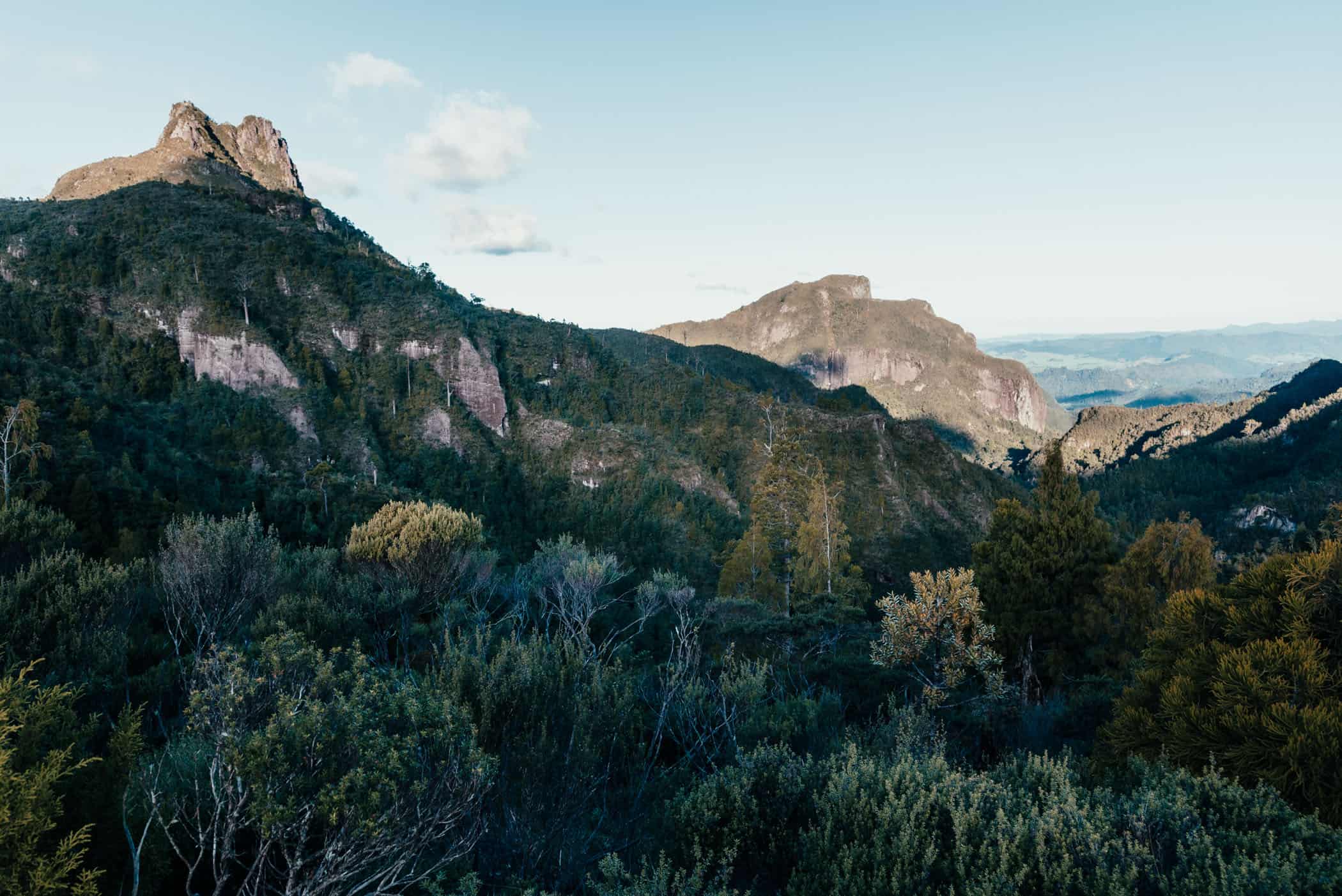 Coromandel Pinnacles in golden light before sunset