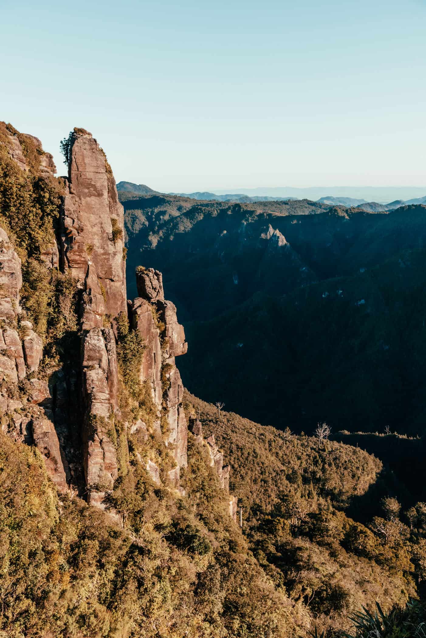 Coromandel Pinnacles in golden light before sunset