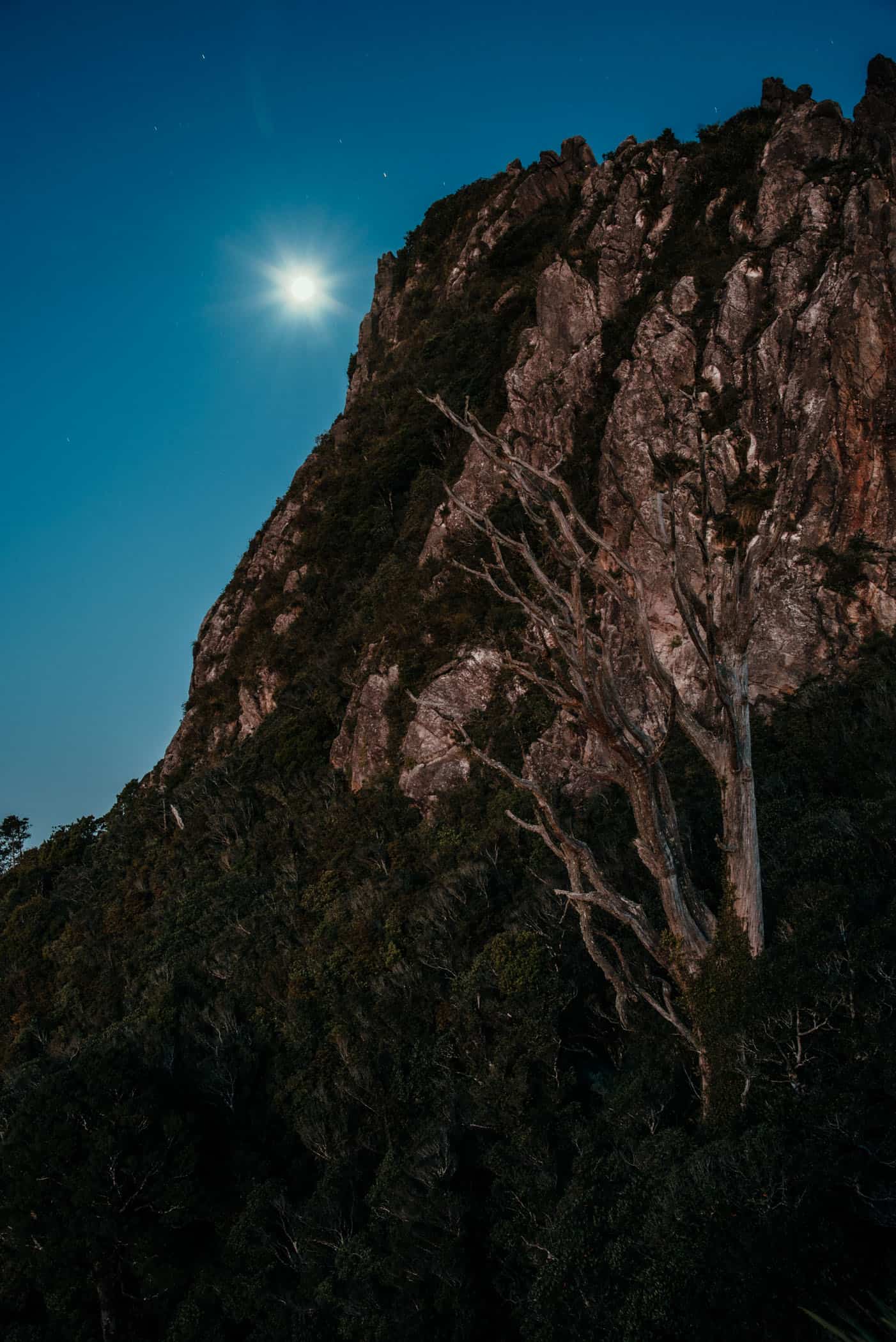 Full rises behind Coromandel Pinnacles during blue hour after sunset