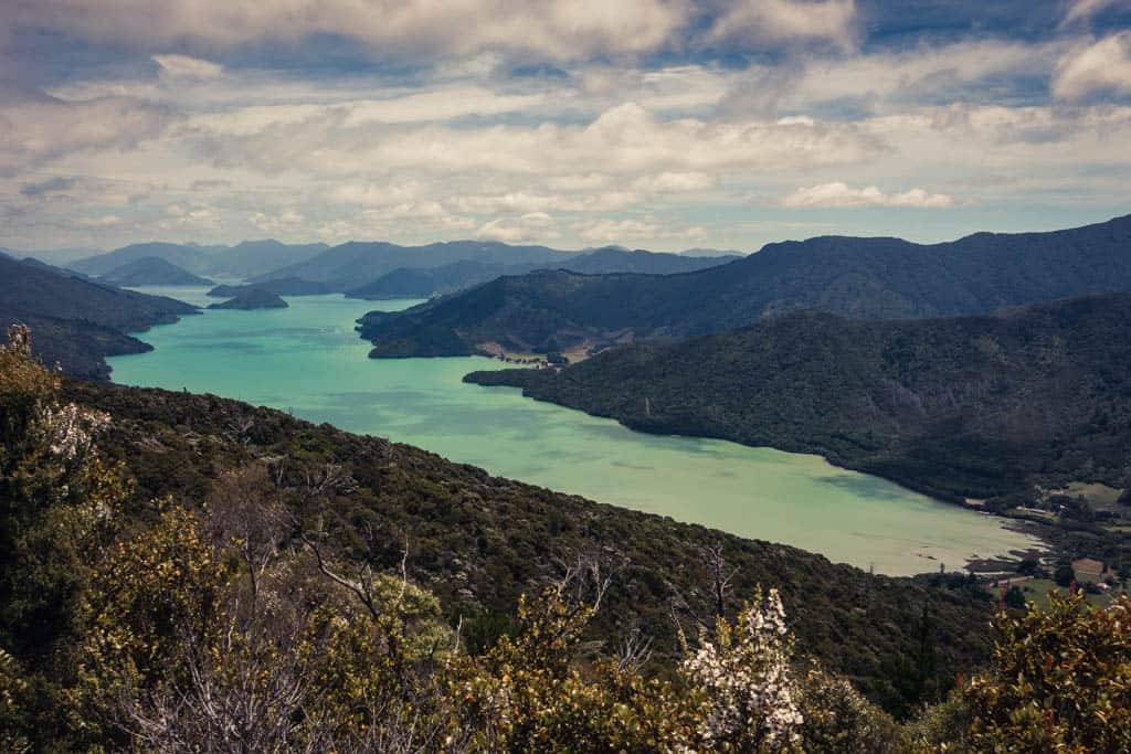 View of Kenepuru Sound from Eatwells Lookout