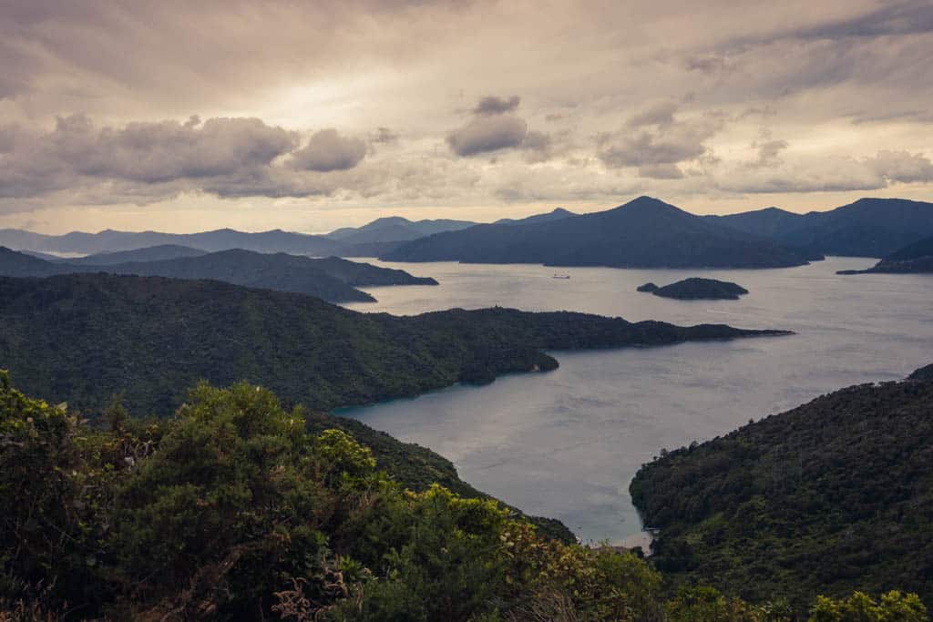Torea Bay seen from Queen Charlotte Track