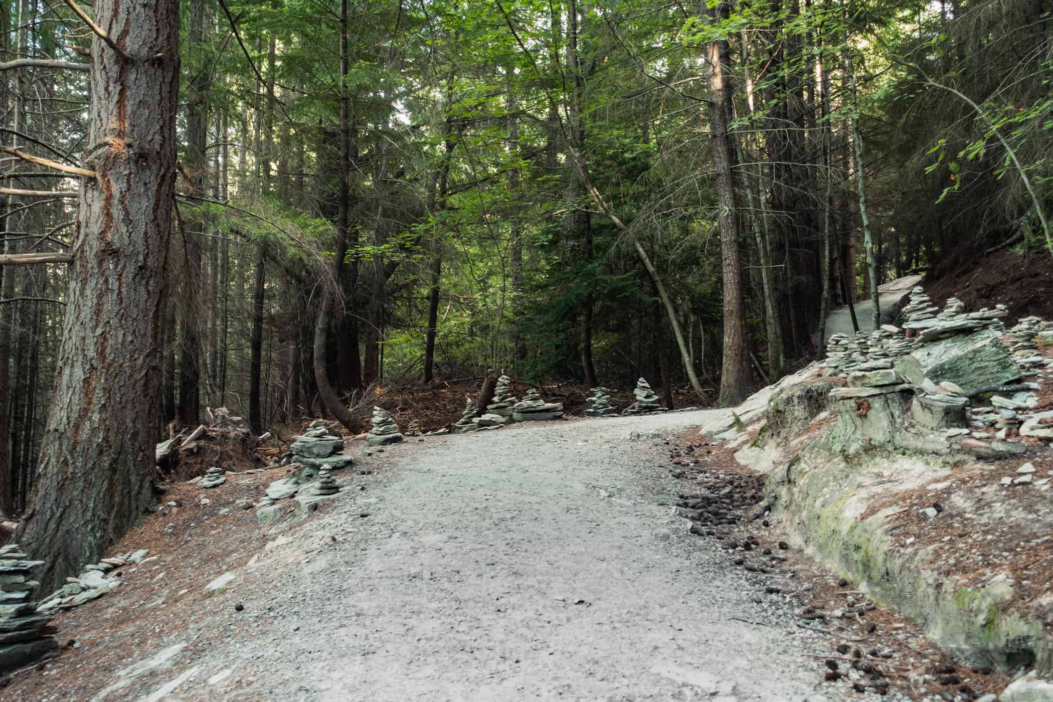 Queenstown Hill track