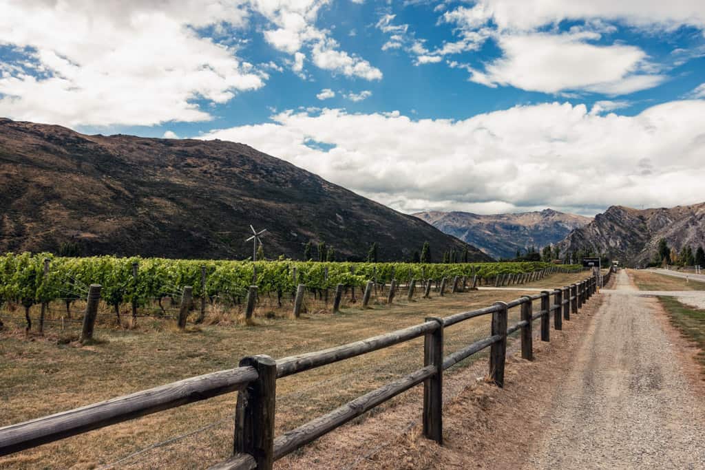 Gibbston Valley vineyards