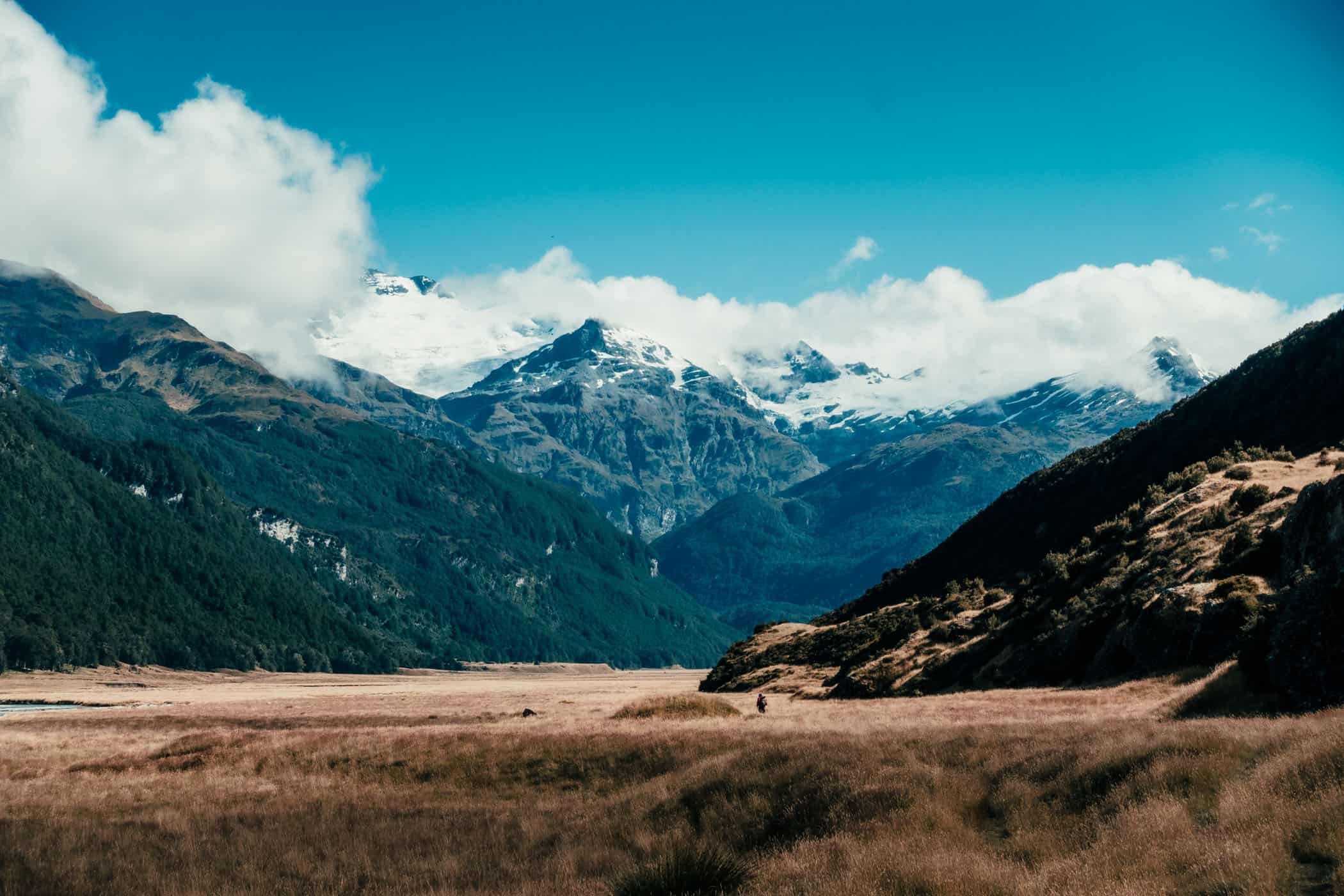 View of Forbes Mountains at the end of Rees Valley