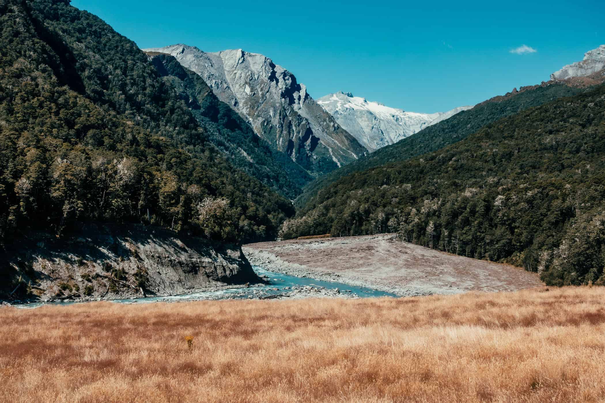 Looking up Dart Valley with big landslide in front of forest and mountains