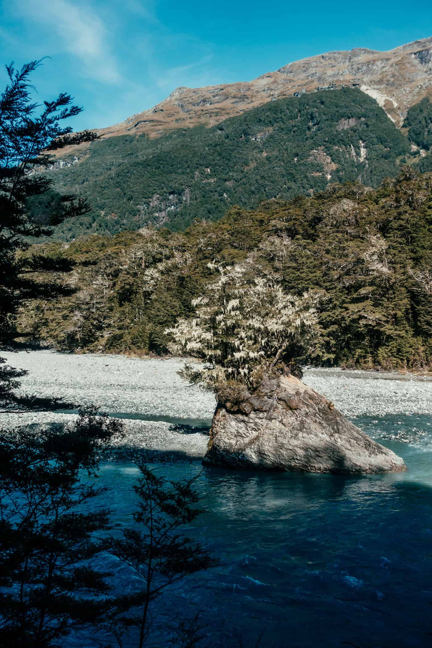 Dart River forms a wide riverbed