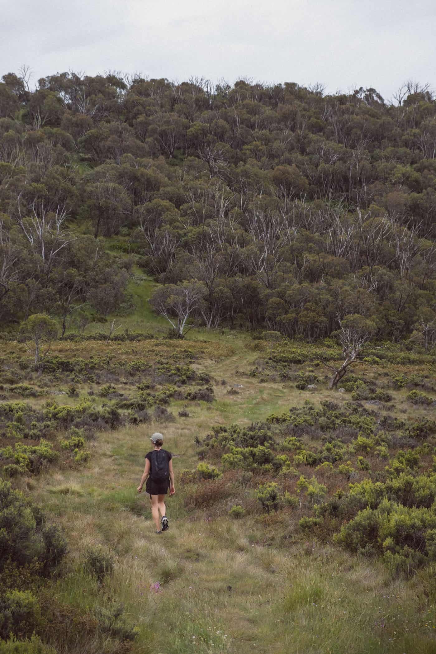 Mount Kosciuszko National Park Rennix Walk