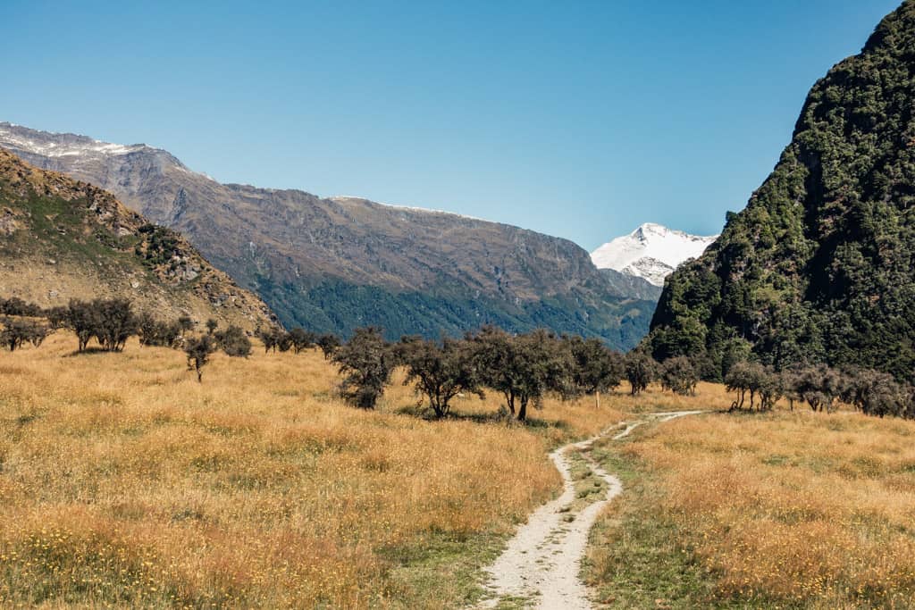 Matukituki River Section of Rob Roy Glacier Track