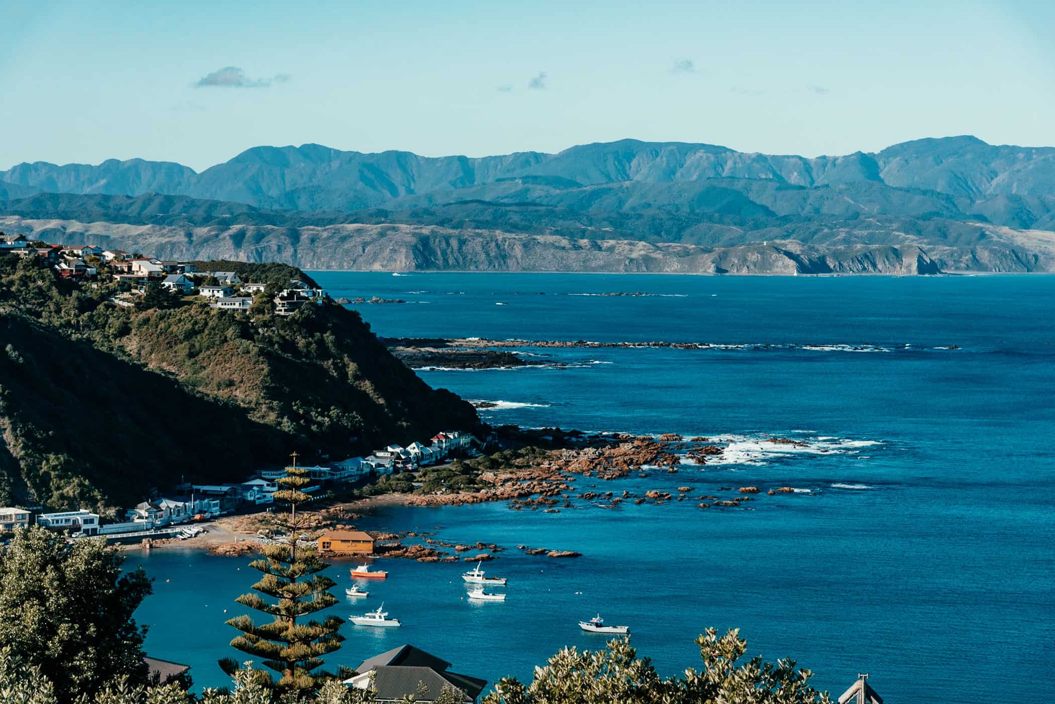 View of Island Bay Wellington