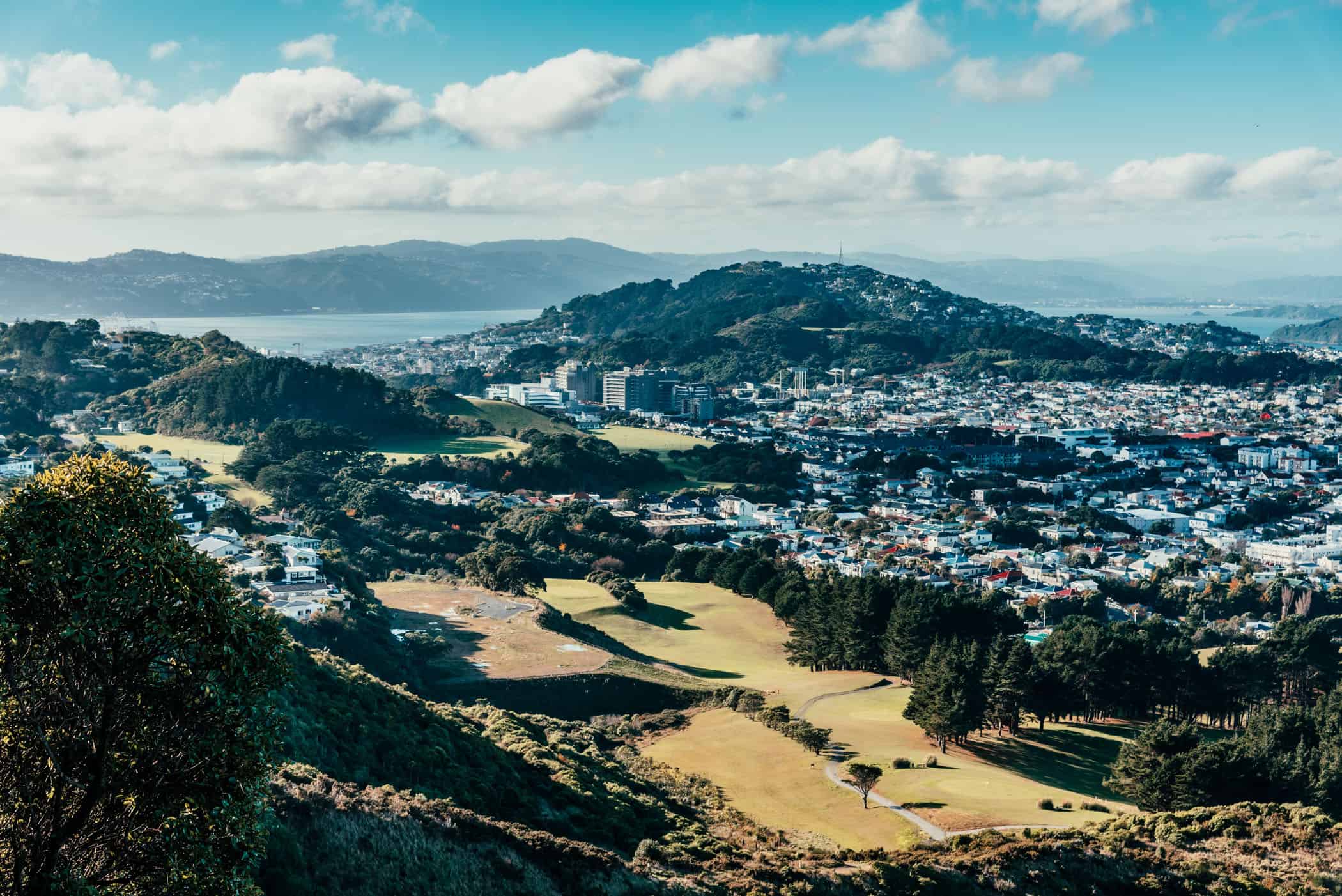 Views from City to Sea Walkway Wellington