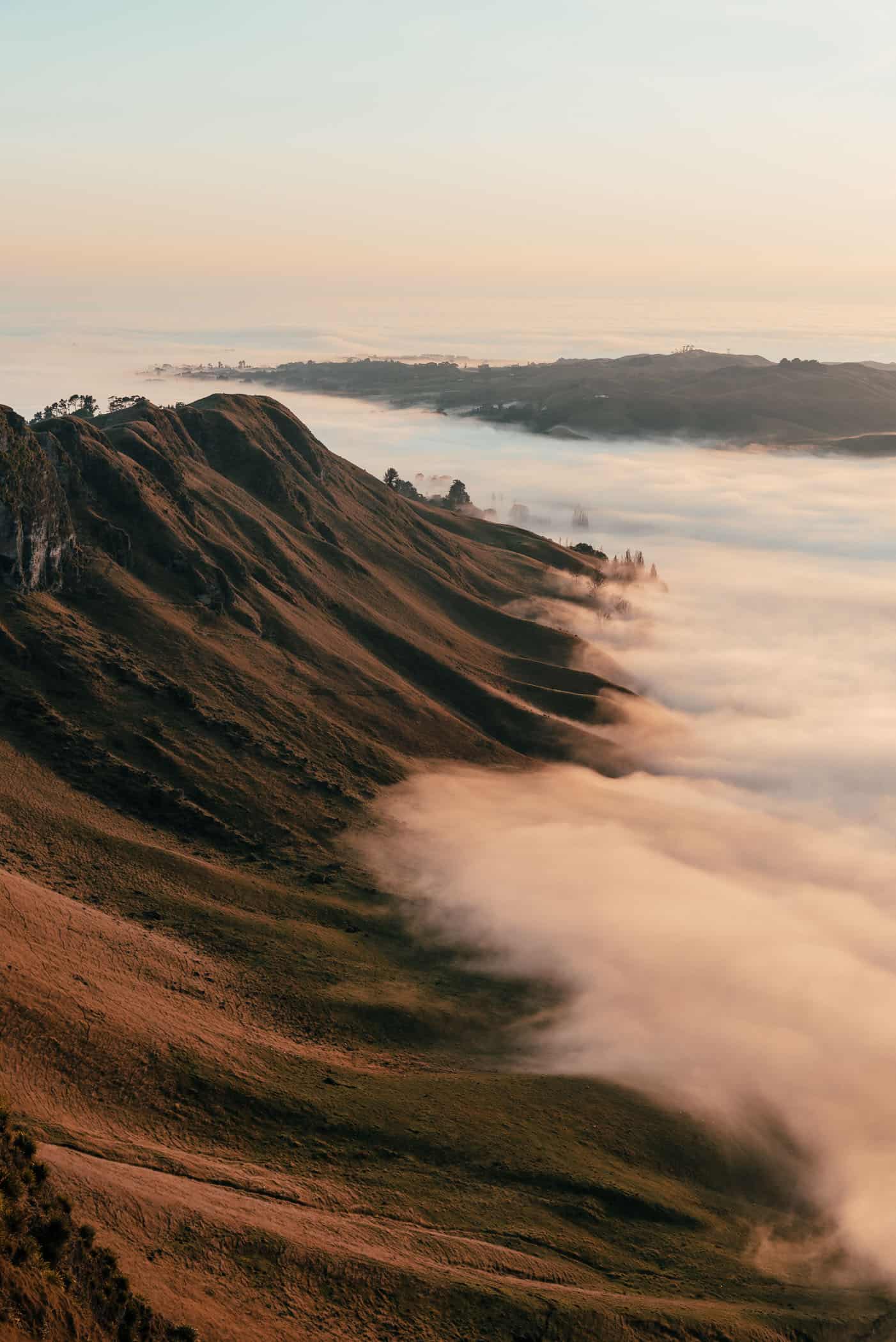 Te Mata Peak - Giant Circuit Hiking Guide | tobinka