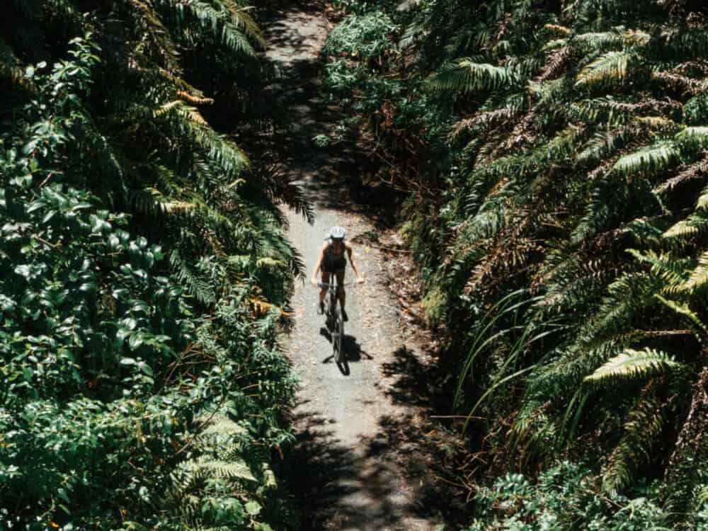 Timber Trail New Zealand