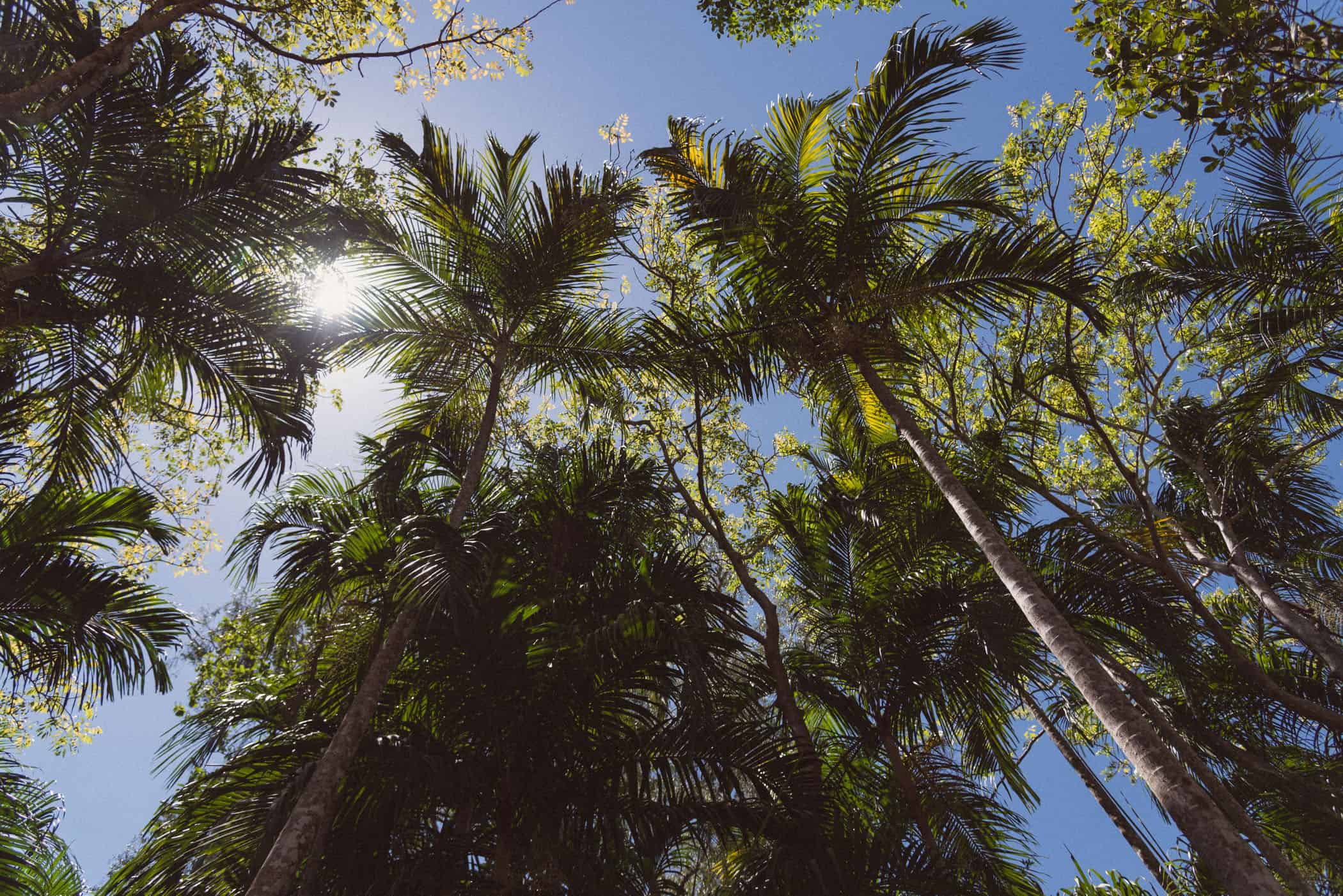 Litchfield National Park Northern Territory Australia